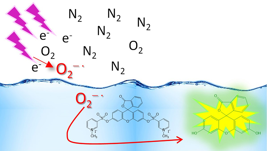 Plasma-produced superoxide in water solution