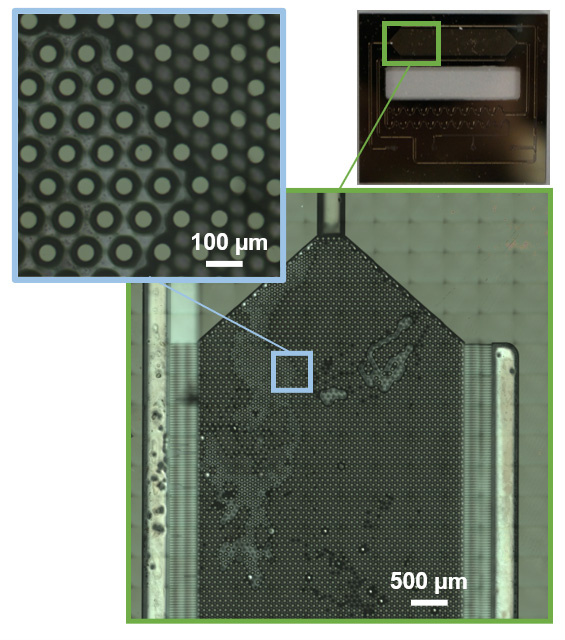 A Dielectric-barrier-discharge Plasmatron