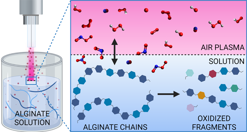 Plasma treatment in alginate solution