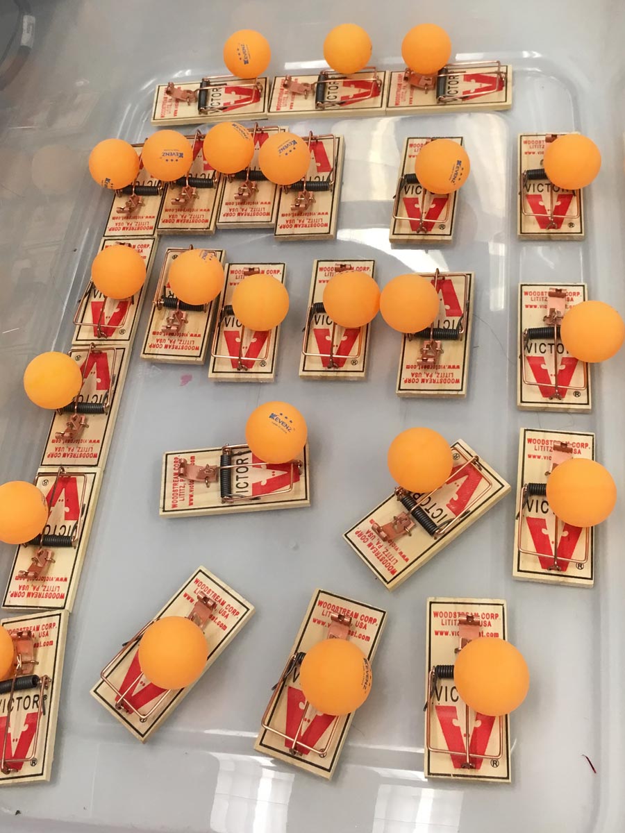 Plasma and Fusion Day